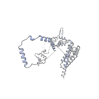 27996_8ebs_C_v1-2
Initial DNA-lesion (Cy5) binding by XPC and TFIIH