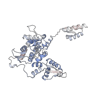 27996_8ebs_D_v1-2
Initial DNA-lesion (Cy5) binding by XPC and TFIIH