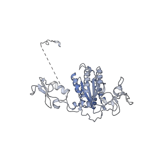 27996_8ebs_E_v1-2
Initial DNA-lesion (Cy5) binding by XPC and TFIIH