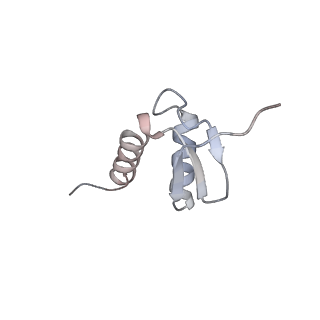 27996_8ebs_G_v1-2
Initial DNA-lesion (Cy5) binding by XPC and TFIIH
