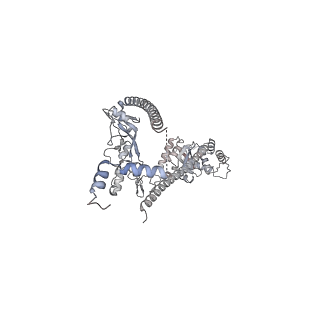 27996_8ebs_H_v1-2
Initial DNA-lesion (Cy5) binding by XPC and TFIIH