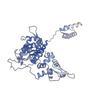 27997_8ebt_D_v1-2
XPA repositioning Core7 of TFIIH relative to XPC-DNA lesion (Cy5)