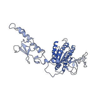 27997_8ebt_E_v1-2
XPA repositioning Core7 of TFIIH relative to XPC-DNA lesion (Cy5)