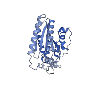 27997_8ebt_F_v1-2
XPA repositioning Core7 of TFIIH relative to XPC-DNA lesion (Cy5)