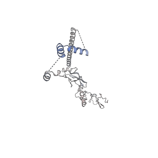 27997_8ebt_H_v1-2
XPA repositioning Core7 of TFIIH relative to XPC-DNA lesion (Cy5)