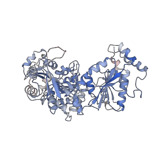 28001_8ebx_A_v1-2
XPA repositioning Core7 of TFIIH relative to XPC-DNA lesion (AP)