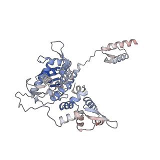 28001_8ebx_D_v1-2
XPA repositioning Core7 of TFIIH relative to XPC-DNA lesion (AP)
