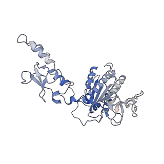 28001_8ebx_E_v1-2
XPA repositioning Core7 of TFIIH relative to XPC-DNA lesion (AP)