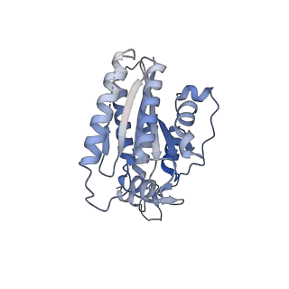 28001_8ebx_F_v1-2
XPA repositioning Core7 of TFIIH relative to XPC-DNA lesion (AP)
