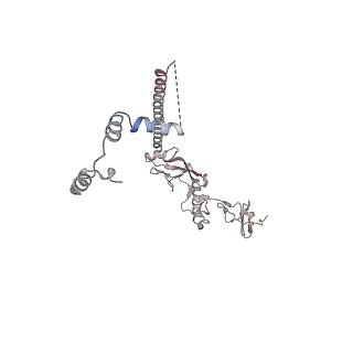 28001_8ebx_H_v1-2
XPA repositioning Core7 of TFIIH relative to XPC-DNA lesion (AP)