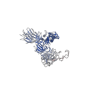 31048_7eb0_A_v1-1
Cryo-EM structure of SARS-CoV-2 Spike D614G variant, one RBD-up conformation 2