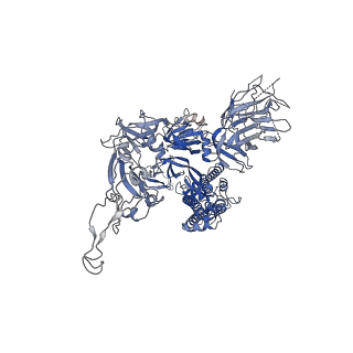 31048_7eb0_C_v1-1
Cryo-EM structure of SARS-CoV-2 Spike D614G variant, one RBD-up conformation 2