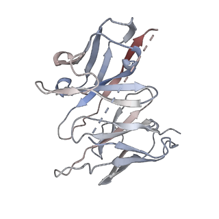 31049_7eb2_N_v1-2
Cryo-EM structure of human GABA(B) receptor-Gi protein complex