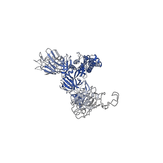 31050_7eb3_A_v1-1
Cryo-EM structure of SARS-CoV-2 Spike D614G variant, one RBD-up conformation 3