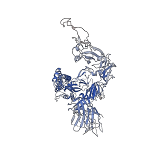 31050_7eb3_B_v1-1
Cryo-EM structure of SARS-CoV-2 Spike D614G variant, one RBD-up conformation 3
