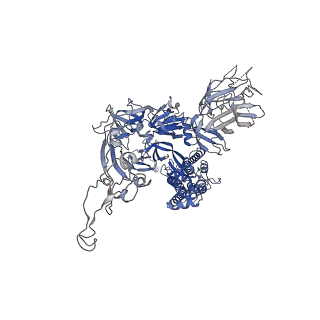 31050_7eb3_C_v1-1
Cryo-EM structure of SARS-CoV-2 Spike D614G variant, one RBD-up conformation 3