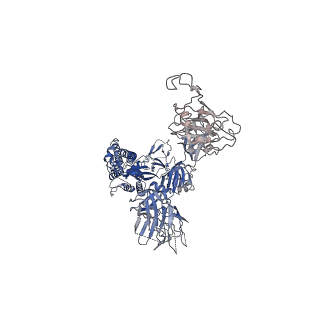 31051_7eb4_B_v1-1
Cryo-EM structure of SARS-CoV-2 Spike D614G variant, two RBD-up conformation 1