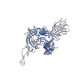 31051_7eb4_C_v1-1
Cryo-EM structure of SARS-CoV-2 Spike D614G variant, two RBD-up conformation 1