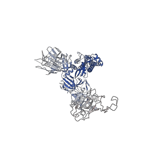 31052_7eb5_A_v1-1
Cryo-EM structure of SARS-CoV-2 Spike D614G variant, two RBD-up conformation 2