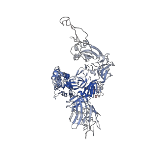31052_7eb5_B_v1-1
Cryo-EM structure of SARS-CoV-2 Spike D614G variant, two RBD-up conformation 2