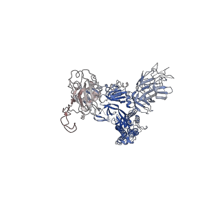 31052_7eb5_C_v1-1
Cryo-EM structure of SARS-CoV-2 Spike D614G variant, two RBD-up conformation 2