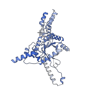 31053_7ebf_A_v1-0
Cryo-EM structure of Isocitrate lyase-1 from Candida albicans