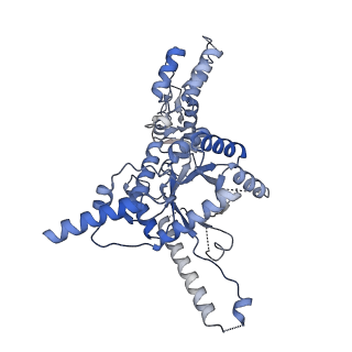 31053_7ebf_A_v1-1
Cryo-EM structure of Isocitrate lyase-1 from Candida albicans