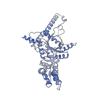 31053_7ebf_B_v1-0
Cryo-EM structure of Isocitrate lyase-1 from Candida albicans