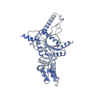 31053_7ebf_B_v1-1
Cryo-EM structure of Isocitrate lyase-1 from Candida albicans