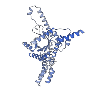 31053_7ebf_C_v1-1
Cryo-EM structure of Isocitrate lyase-1 from Candida albicans