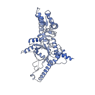31053_7ebf_D_v1-0
Cryo-EM structure of Isocitrate lyase-1 from Candida albicans