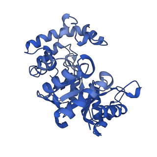 9024_6ebk_A_v1-1
The voltage-activated Kv1.2-2.1 paddle chimera channel in lipid nanodiscs