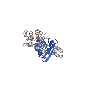 9024_6ebk_B_v1-0
The voltage-activated Kv1.2-2.1 paddle chimera channel in lipid nanodiscs