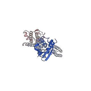 9024_6ebk_B_v1-1
The voltage-activated Kv1.2-2.1 paddle chimera channel in lipid nanodiscs