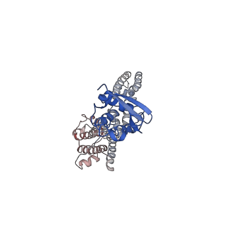 9024_6ebk_D_v1-0
The voltage-activated Kv1.2-2.1 paddle chimera channel in lipid nanodiscs