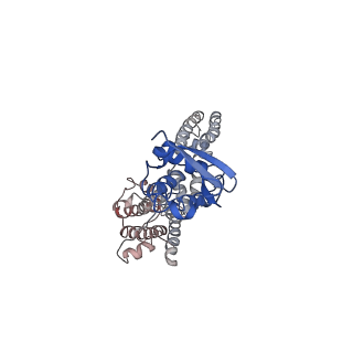 9024_6ebk_D_v1-1
The voltage-activated Kv1.2-2.1 paddle chimera channel in lipid nanodiscs