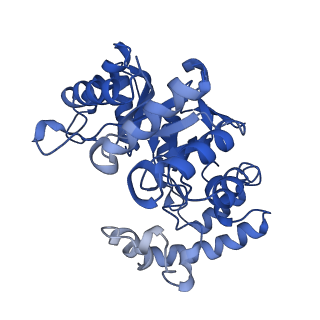 9024_6ebk_E_v1-1
The voltage-activated Kv1.2-2.1 paddle chimera channel in lipid nanodiscs