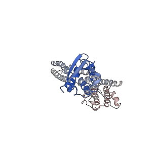 9024_6ebk_F_v1-1
The voltage-activated Kv1.2-2.1 paddle chimera channel in lipid nanodiscs