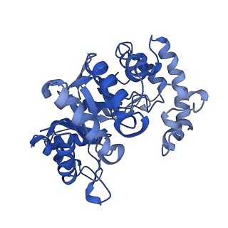 9024_6ebk_G_v1-1
The voltage-activated Kv1.2-2.1 paddle chimera channel in lipid nanodiscs