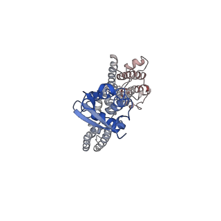 9024_6ebk_H_v1-1
The voltage-activated Kv1.2-2.1 paddle chimera channel in lipid nanodiscs