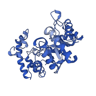 9025_6ebl_C_v1-1
The voltage-activated Kv1.2-2.1 paddle chimera channel in lipid nanodiscs, cytosolic domain