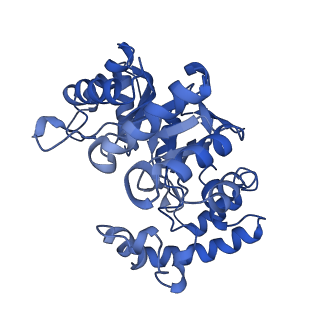 9025_6ebl_E_v1-0
The voltage-activated Kv1.2-2.1 paddle chimera channel in lipid nanodiscs, cytosolic domain