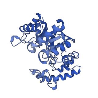 9025_6ebl_E_v1-1
The voltage-activated Kv1.2-2.1 paddle chimera channel in lipid nanodiscs, cytosolic domain