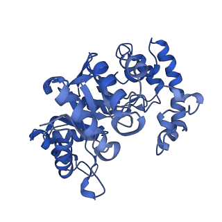 9025_6ebl_G_v1-1
The voltage-activated Kv1.2-2.1 paddle chimera channel in lipid nanodiscs, cytosolic domain