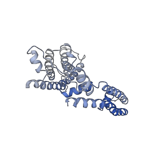 9026_6ebm_B_v1-0
The voltage-activated Kv1.2-2.1 paddle chimera channel in lipid nanodiscs, transmembrane domain of subunit alpha