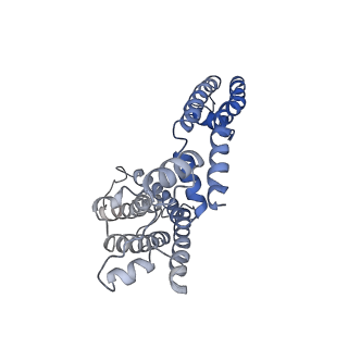 9026_6ebm_D_v1-0
The voltage-activated Kv1.2-2.1 paddle chimera channel in lipid nanodiscs, transmembrane domain of subunit alpha