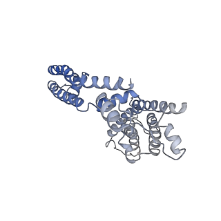 9026_6ebm_F_v1-0
The voltage-activated Kv1.2-2.1 paddle chimera channel in lipid nanodiscs, transmembrane domain of subunit alpha
