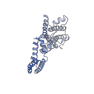 9026_6ebm_H_v1-0
The voltage-activated Kv1.2-2.1 paddle chimera channel in lipid nanodiscs, transmembrane domain of subunit alpha