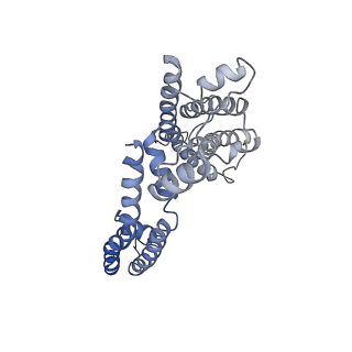 9026_6ebm_H_v1-1
The voltage-activated Kv1.2-2.1 paddle chimera channel in lipid nanodiscs, transmembrane domain of subunit alpha