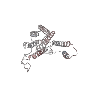 28011_8ec0_O_v1-0
III2IV respiratory supercomplex from Saccharomyces cerevisiae cardiolipin-lacking mutant